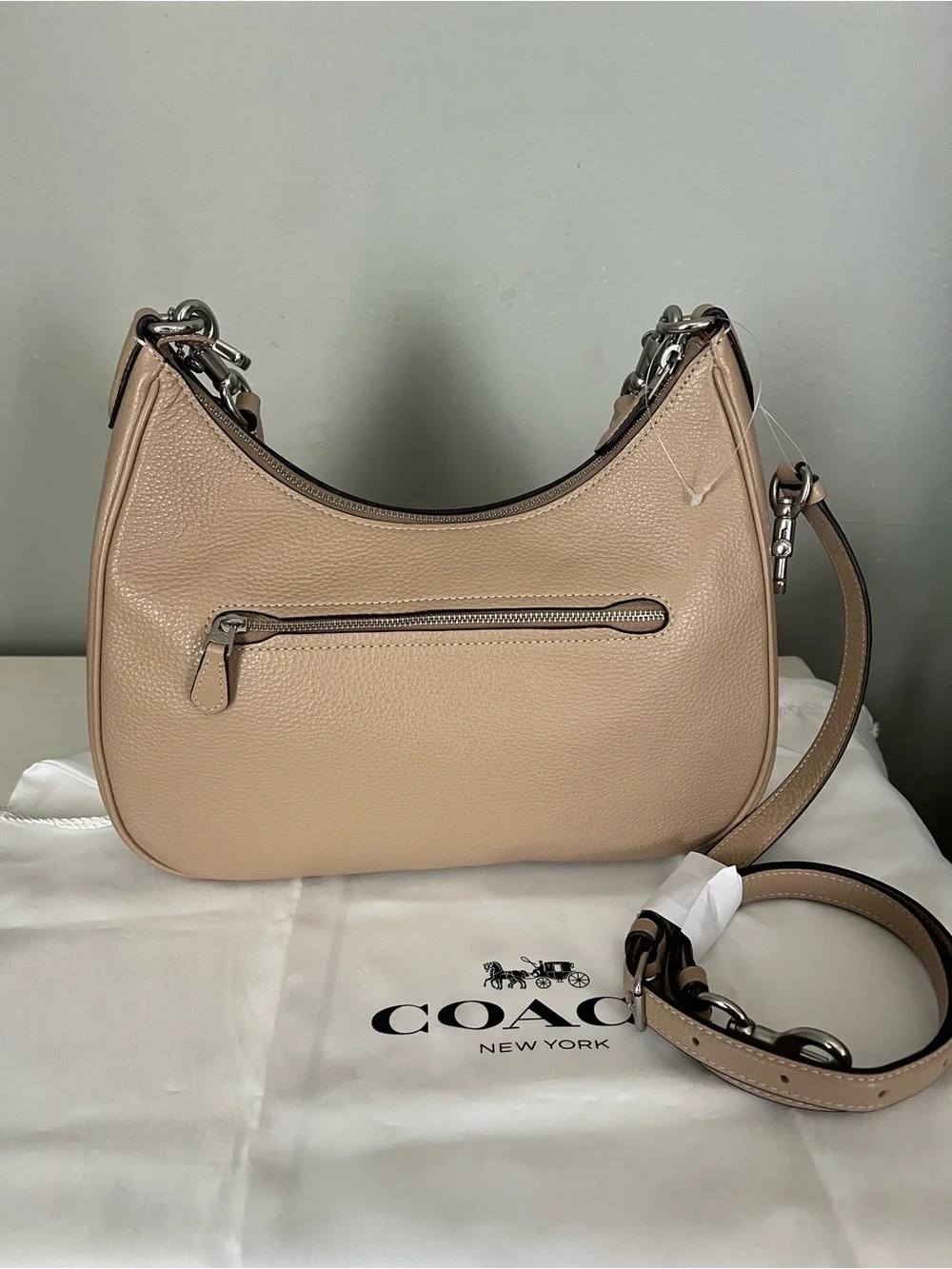 Coach Teri Hobo Bag
